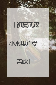 初夏武汉小水果广受青睐